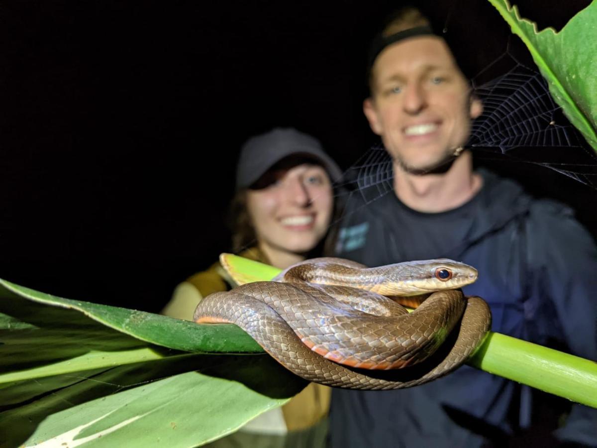 Casa Chilamates Tortuguero Dış mekan fotoğraf