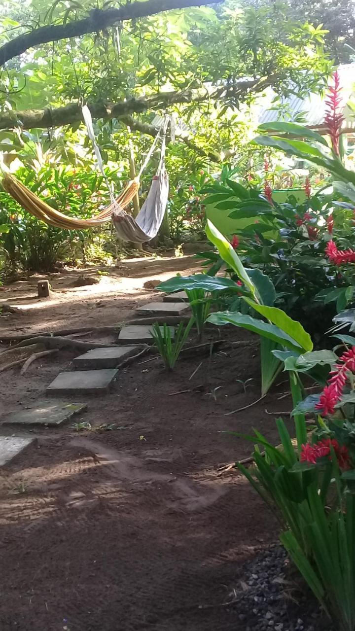 Casa Chilamates Tortuguero Dış mekan fotoğraf