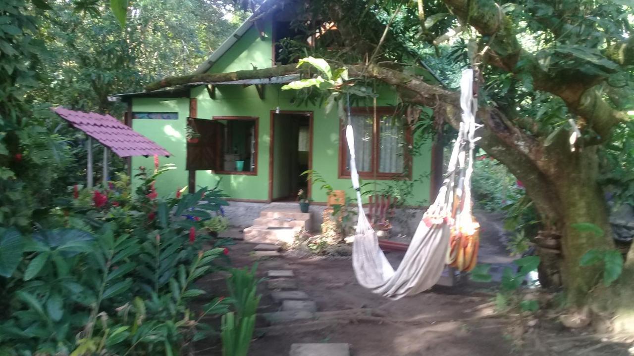 Casa Chilamates Tortuguero Dış mekan fotoğraf