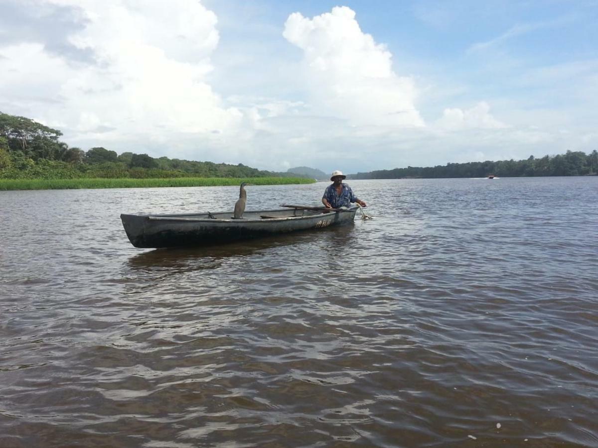 Casa Chilamates Tortuguero Dış mekan fotoğraf